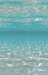 thesea_small.jpg